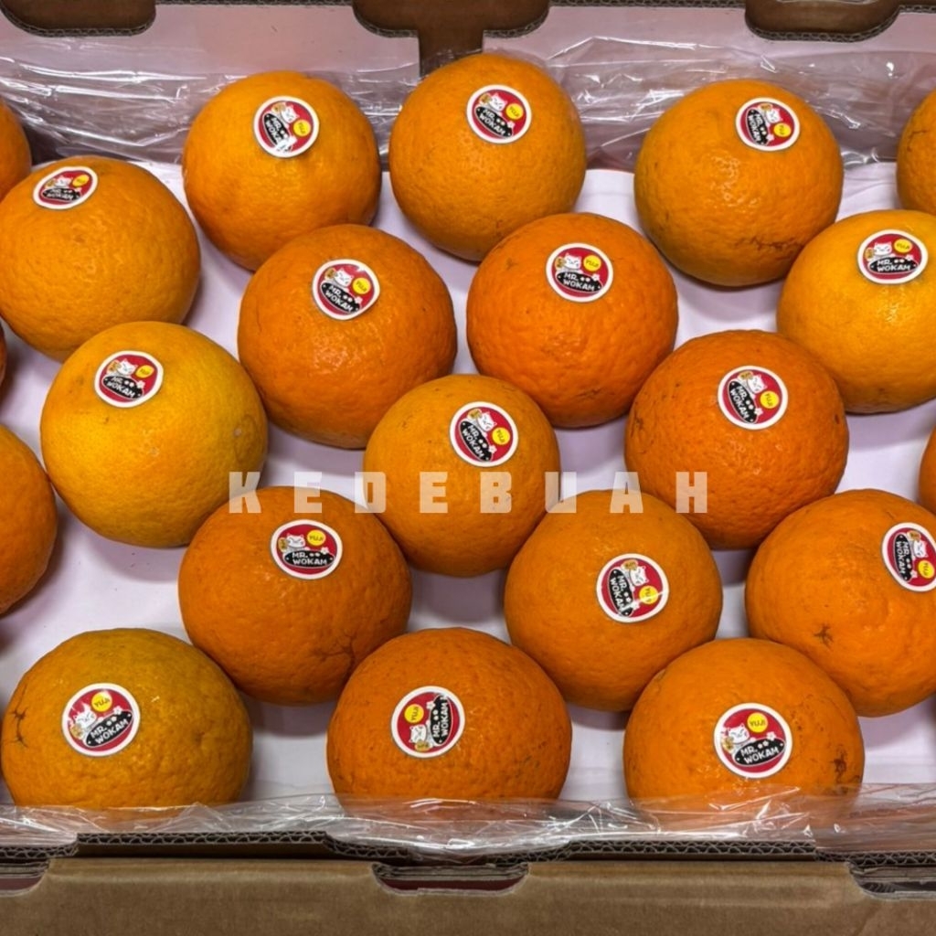 Jeruk Wokam | Wogan Mandarin