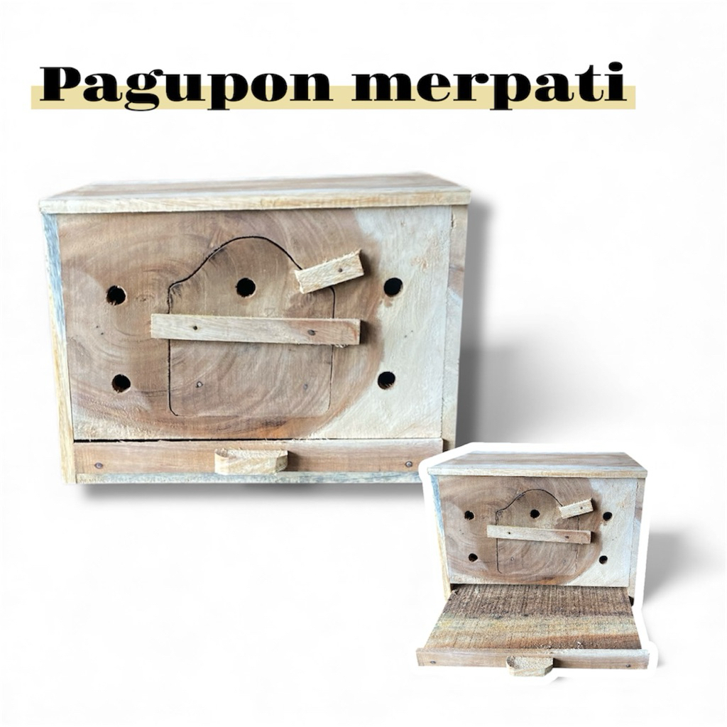 pagupon merpati / gupon merpati