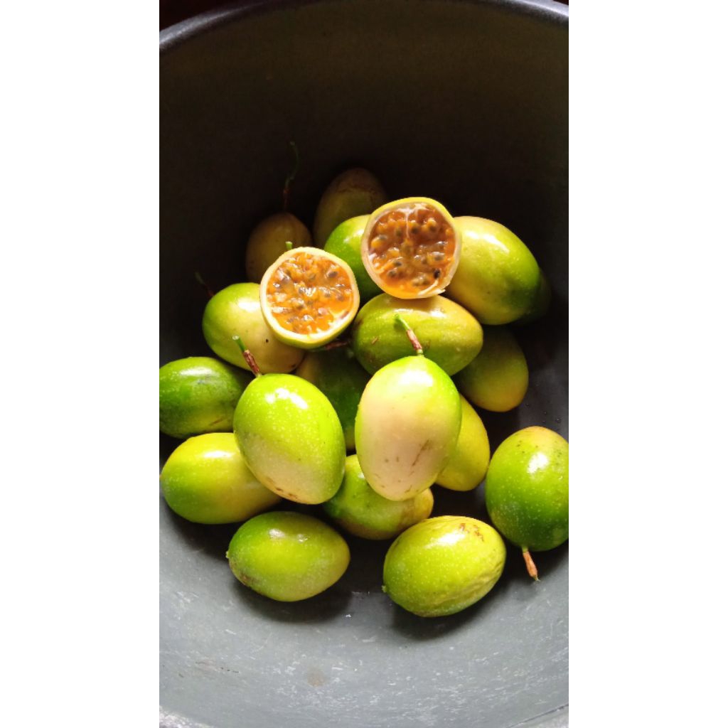 PROMO Buah Markisa segar / Buah Konyal segar 1KG fresh baru metik