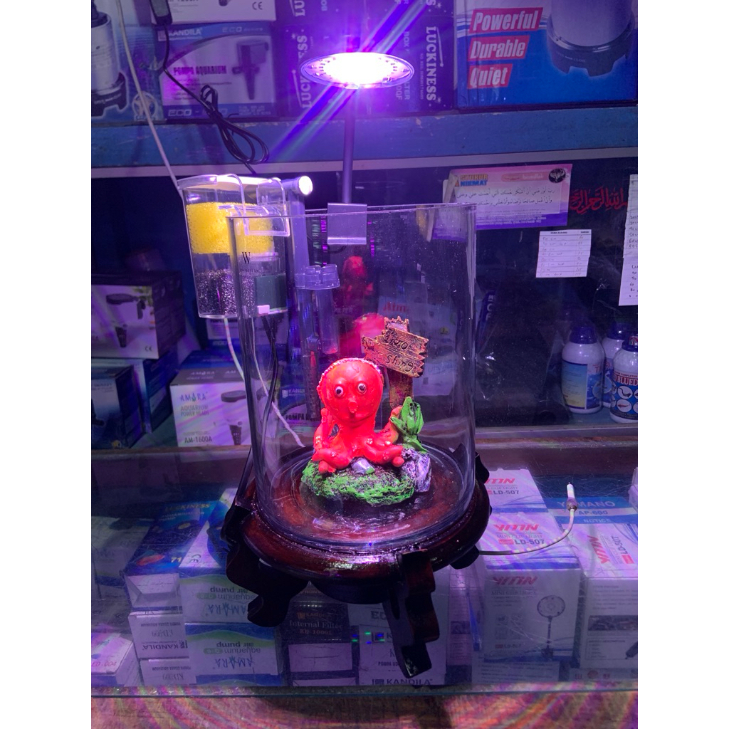 Akuarium bulat Bambu set filter lampu dan dudukan