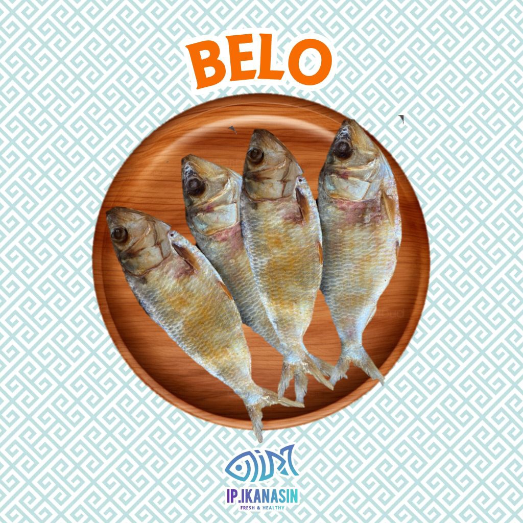 BELO Ikan Asin Belo Kualitas Super
