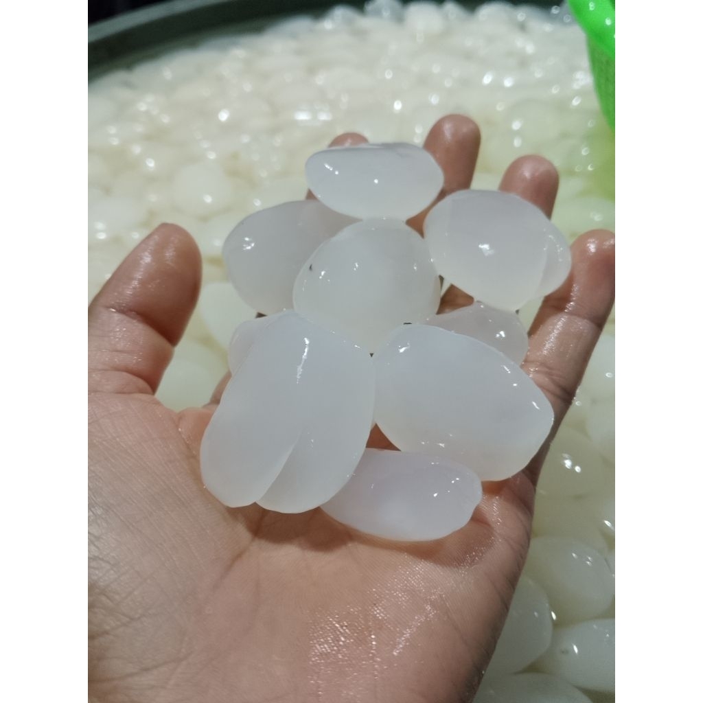 Kolang kaling muda 1 kg