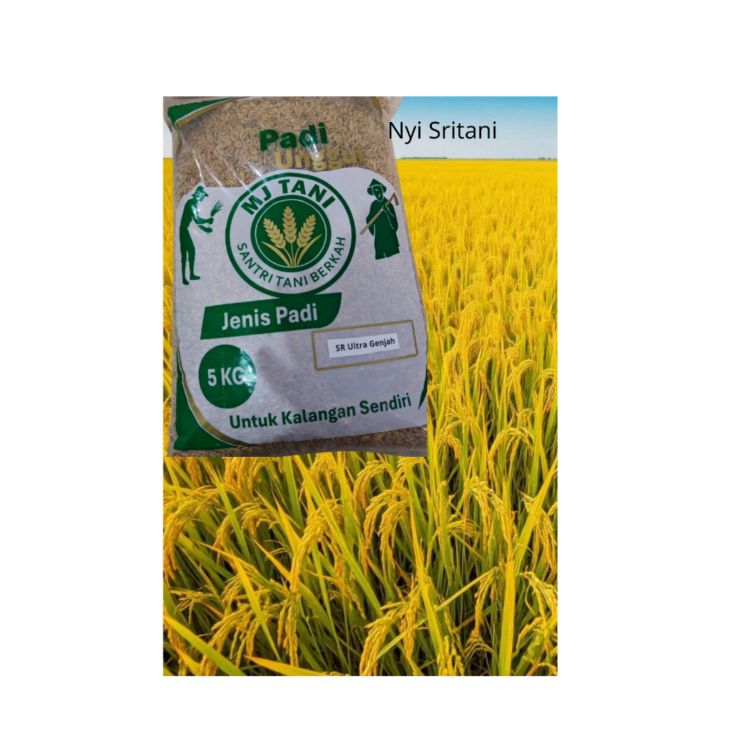 Benih bibit padi  unggul SR Ultra Genjah kemasan 5 Kg original