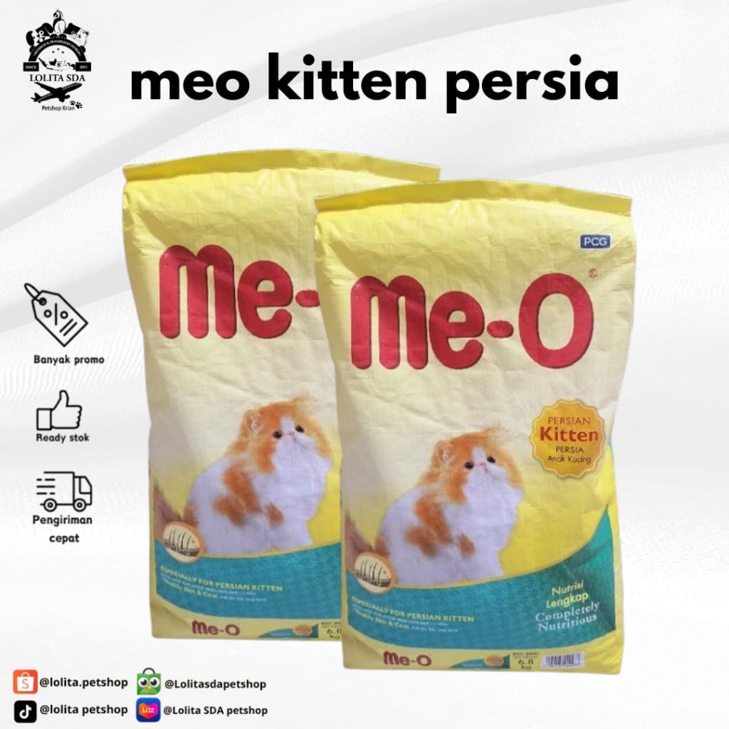 meo kitten 7kg kitten Persia / kitten / persian