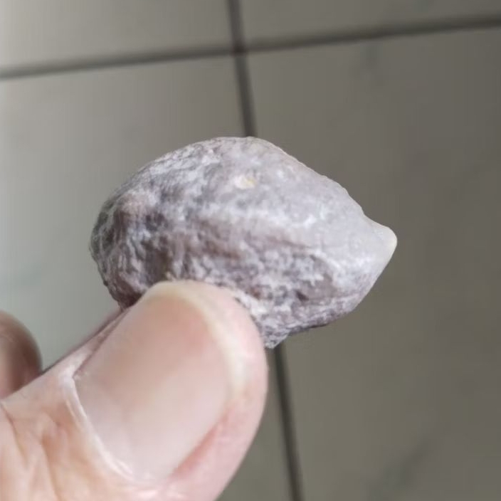 Kemiri Adu Muncang Adu Jayanti Anak Si Pait Urgen Full Tua