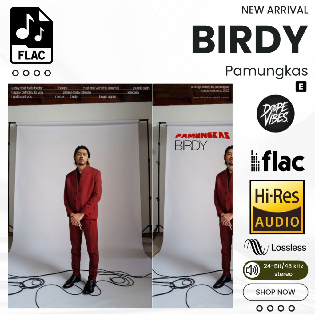 Birdy Pamungkas Album Lagu FLAC Hi-Res Lossless 24bit 48kHz