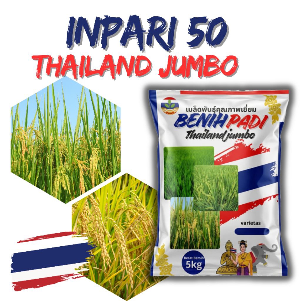Benih Padi Inpari 50 Thailand Jumbo 5kg