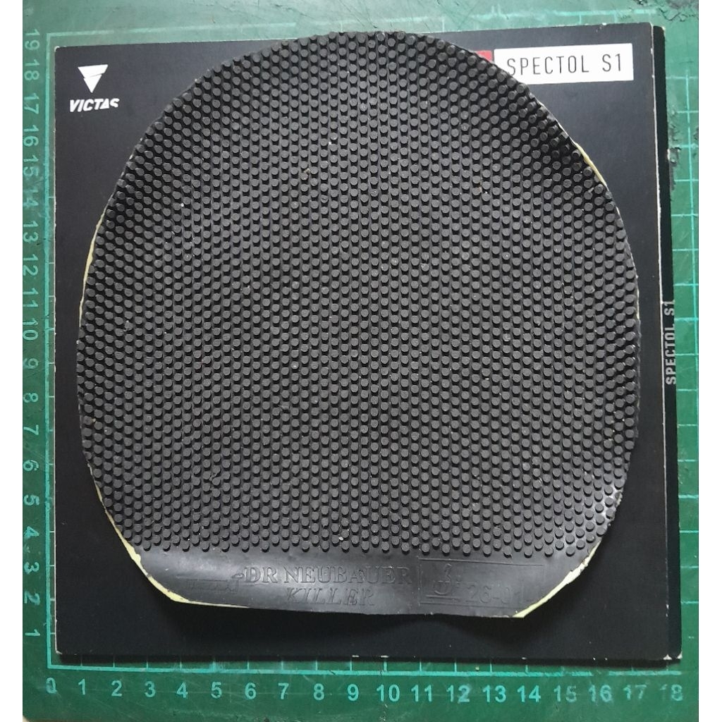 Bintik Serang Dr.Neubauer Killer, ukuran besar, Sponge 0.5, bekas