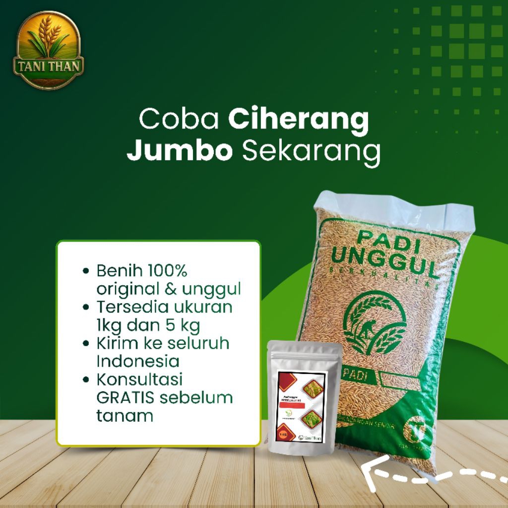 Benih Padi Ciherang Jumbo