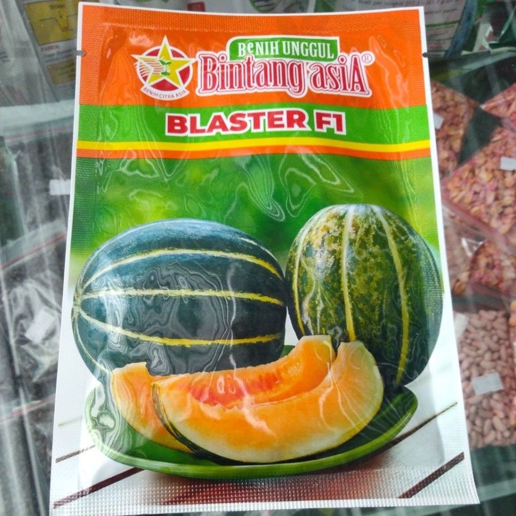 Benih blewah blaster 15gram