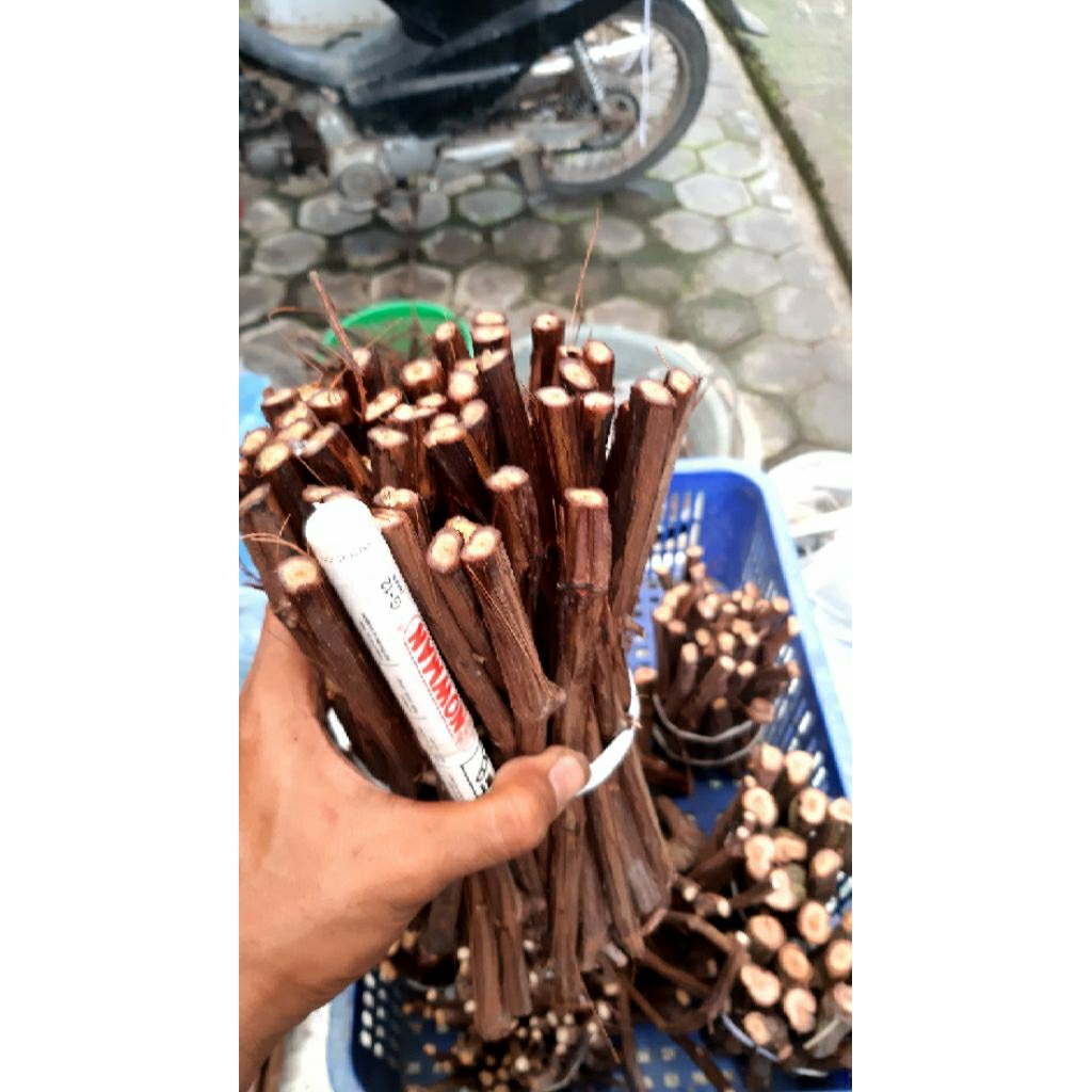 cutting rs iac 572 fress 1 kg