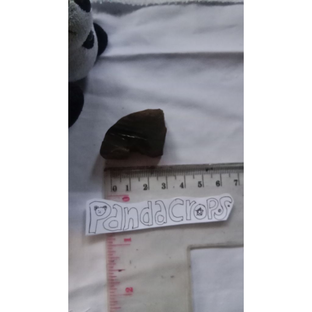 Bahan Kayu Stigi untuk mata cincin