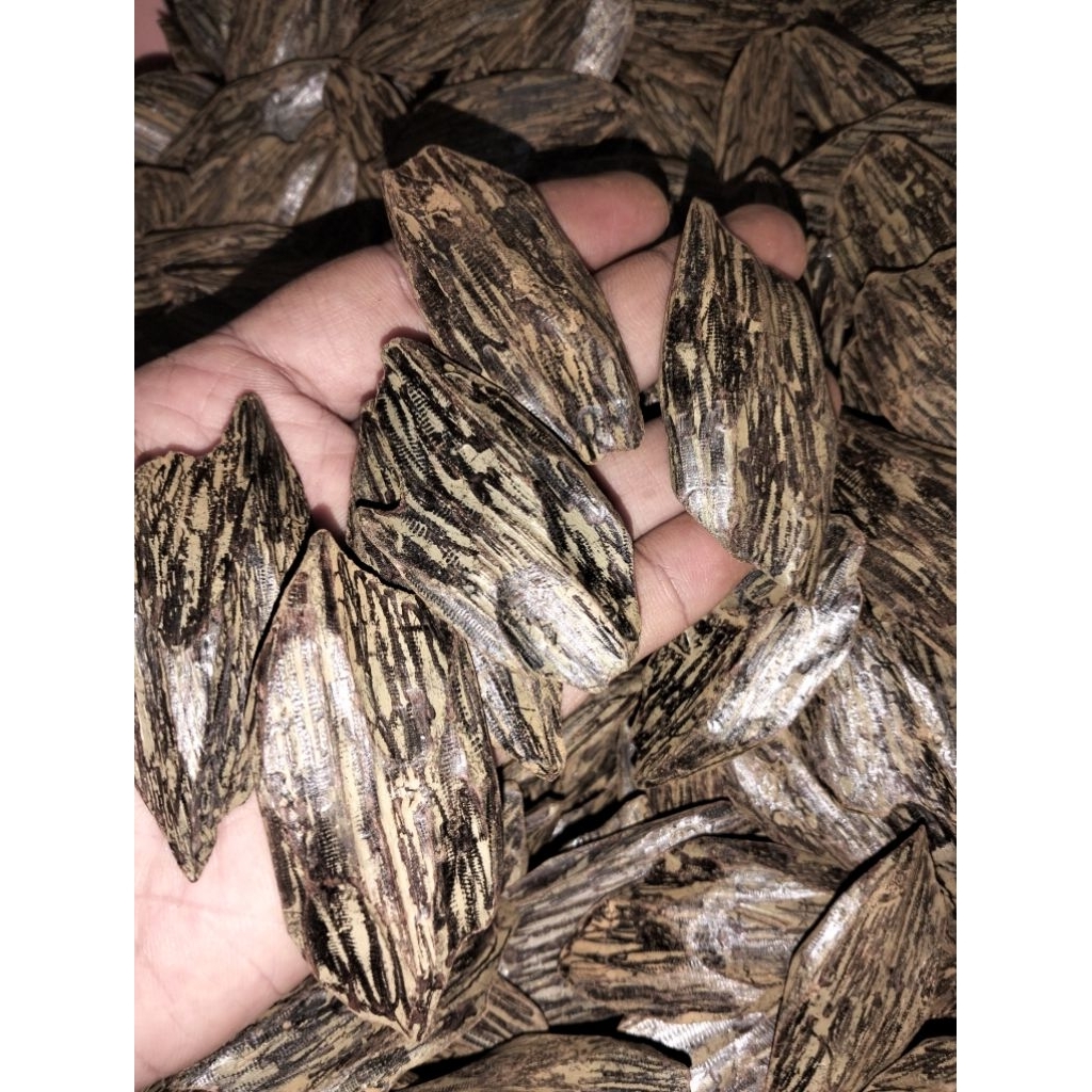 kayu gaharu klmntn rayap aroma super 100gram