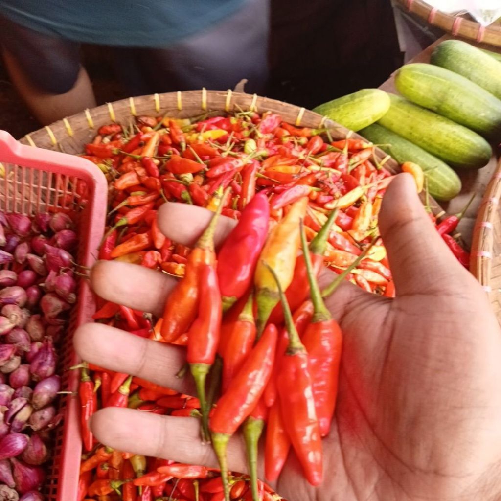 cabai rawit merah 1kg dikirim langsung dari pasar anyar bogor