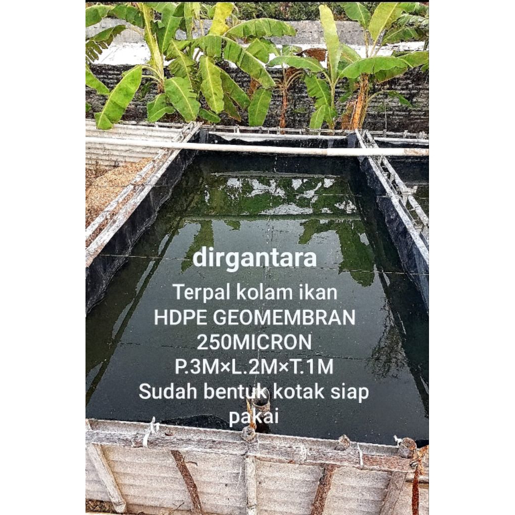 Terpal kolam ikan ukuran 3×2×1m HDPE Geomembran micron 250 kualitas terbaik sudah bentuk kotak