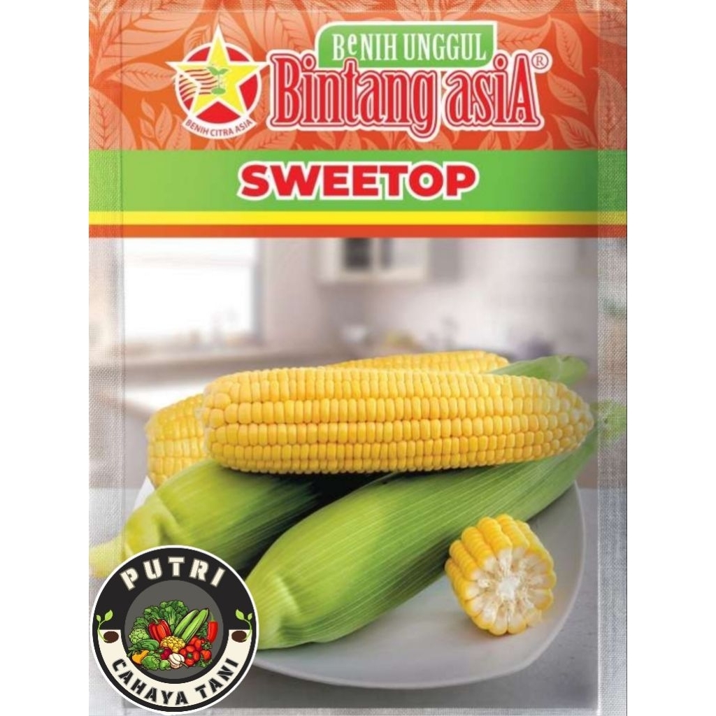 Benih Jagung Manis SWEETOP 250 Gram Bintang Asia