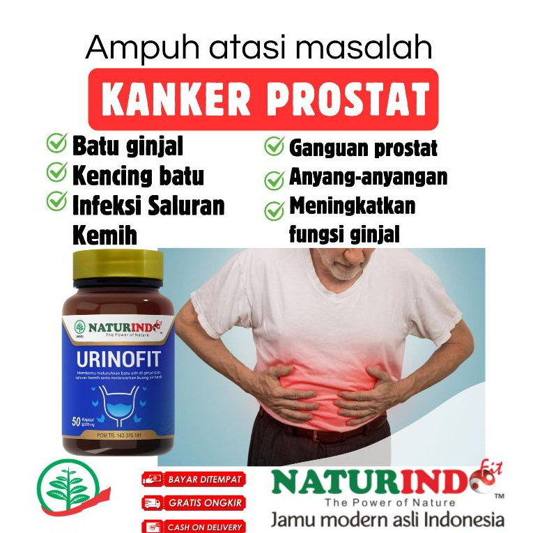 Obat Prostat Herbal Naturindo Ampuh Infeksi Ginjal Urinofit Herbal Prostat Infeksi Saluran Kemih HER