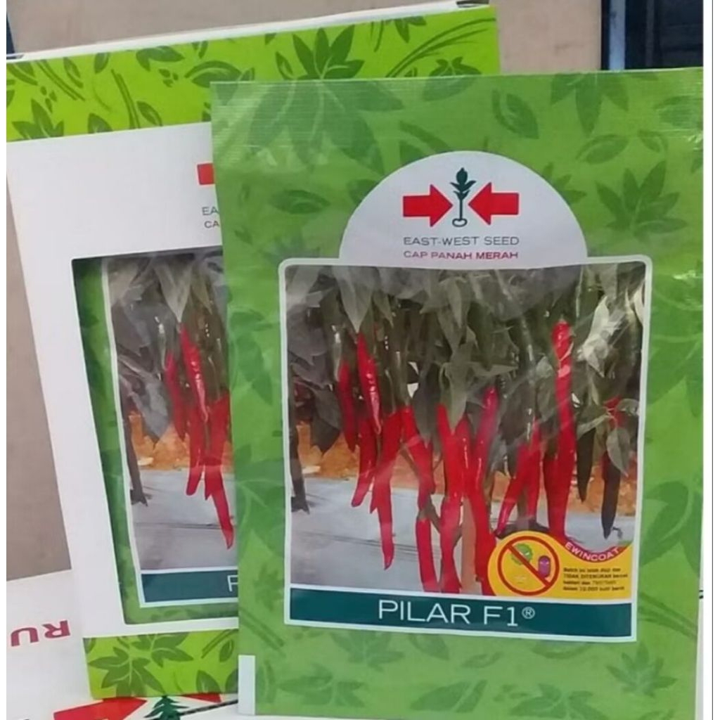 Benih cabe besar pilar f1 10 gram