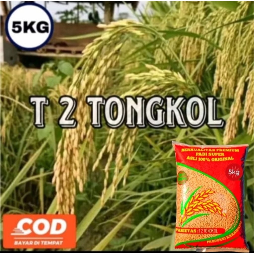 BENIH PADI T2 TONGKOL KEMASAN 5KG
