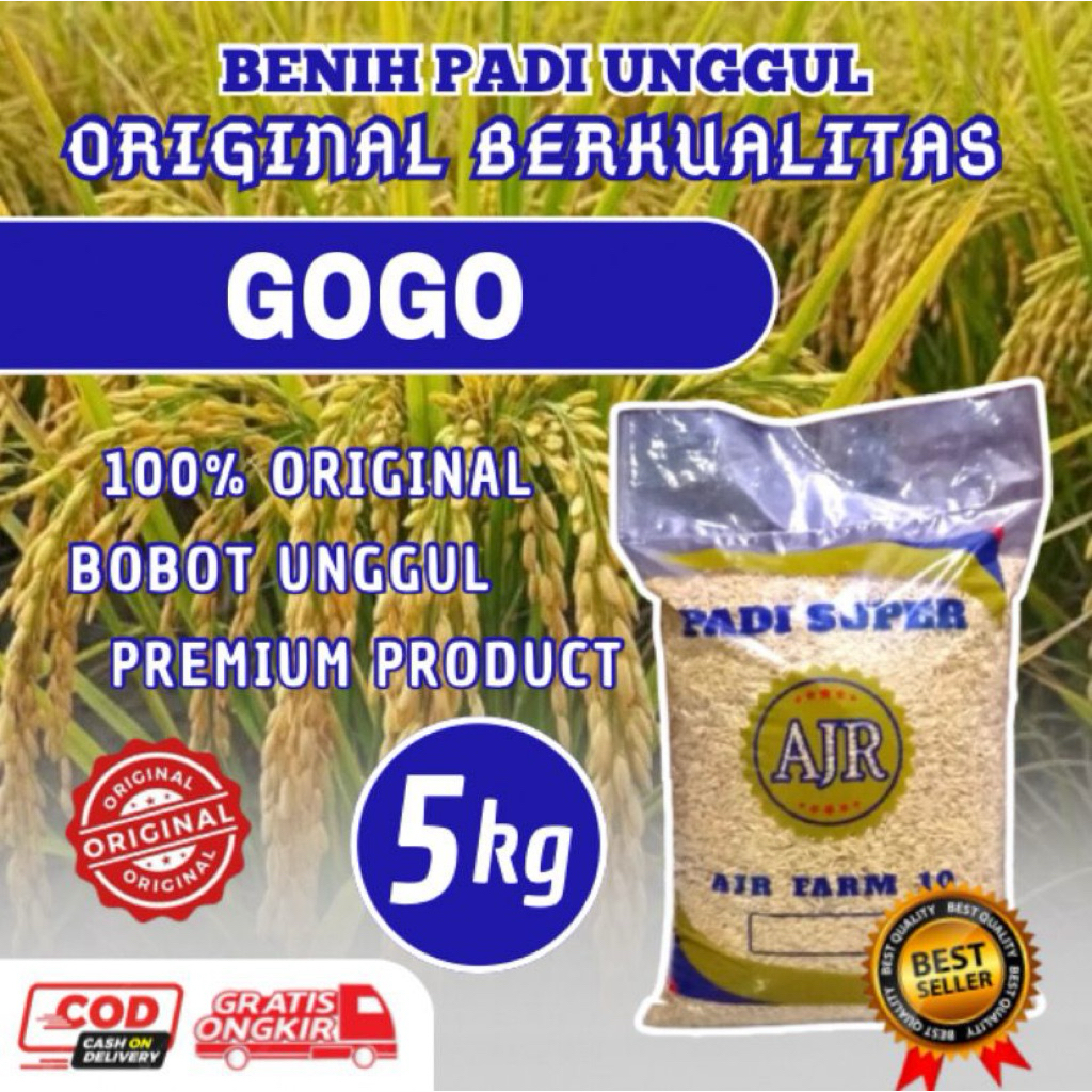 benih Padi unggul GOGO (5kg)