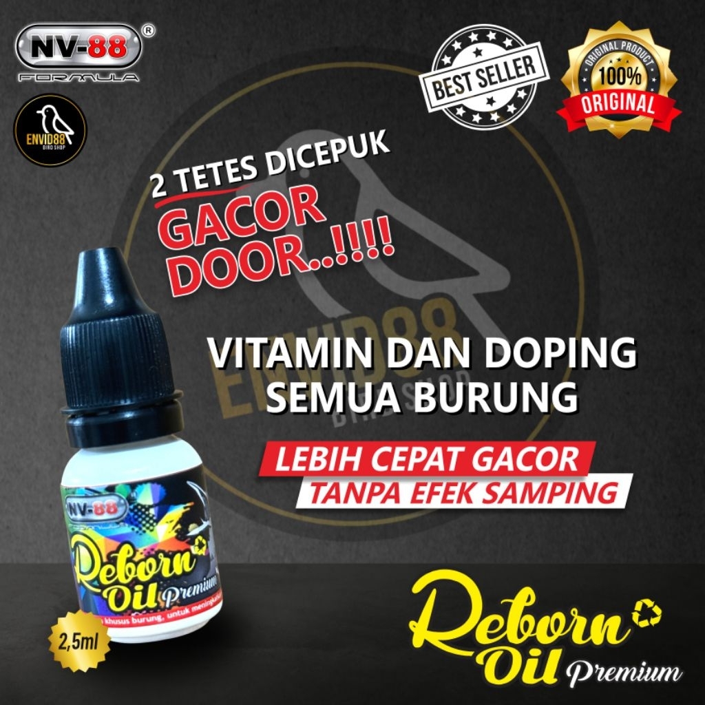 Reborn Oil Premium nv88 doping dan suplemen burung Pleci terbaik dan sehat isi 2,5ml
