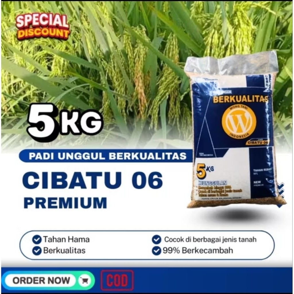 gabah CIBATU 06 PREMIUM