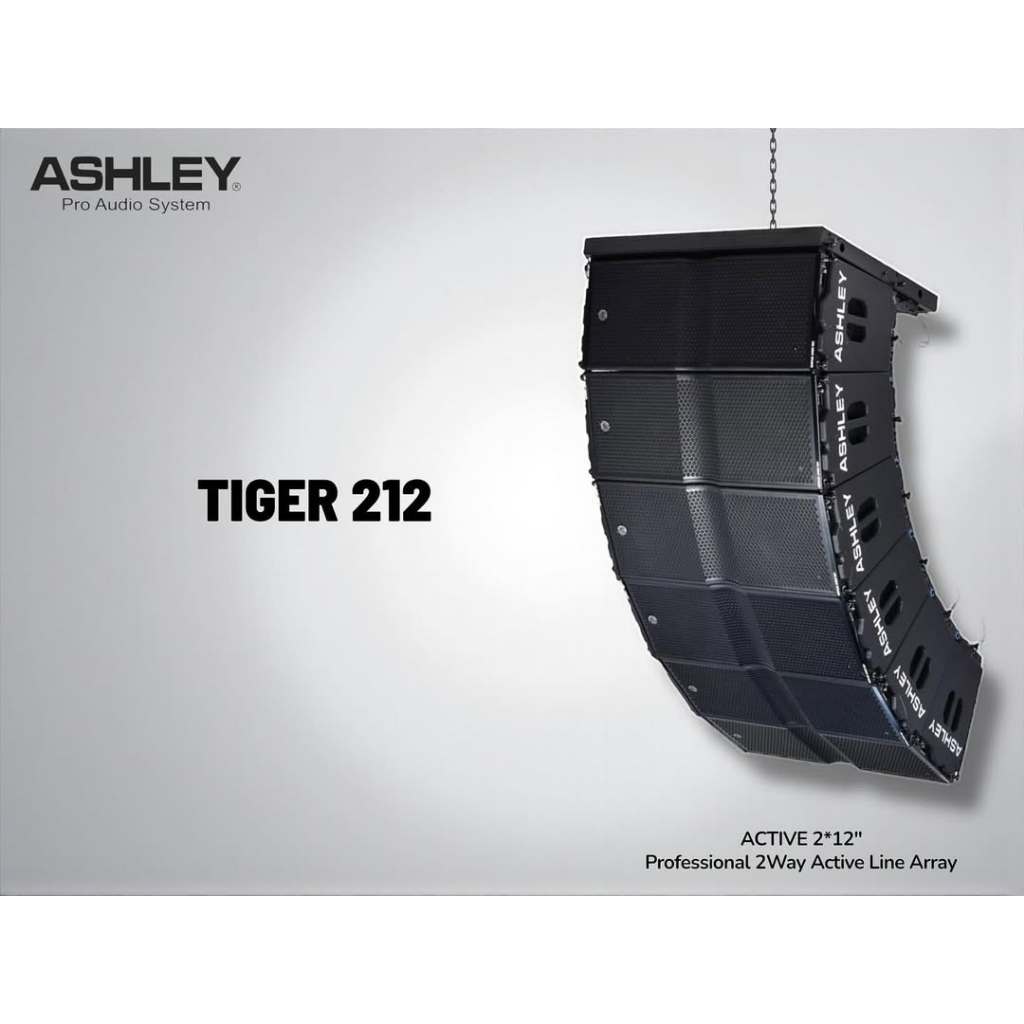 Speaker Line Array ASHLEY TW 212 LA TW 212LA ORIGINAL 2 X 12 INCH TW212 LA TW212LA