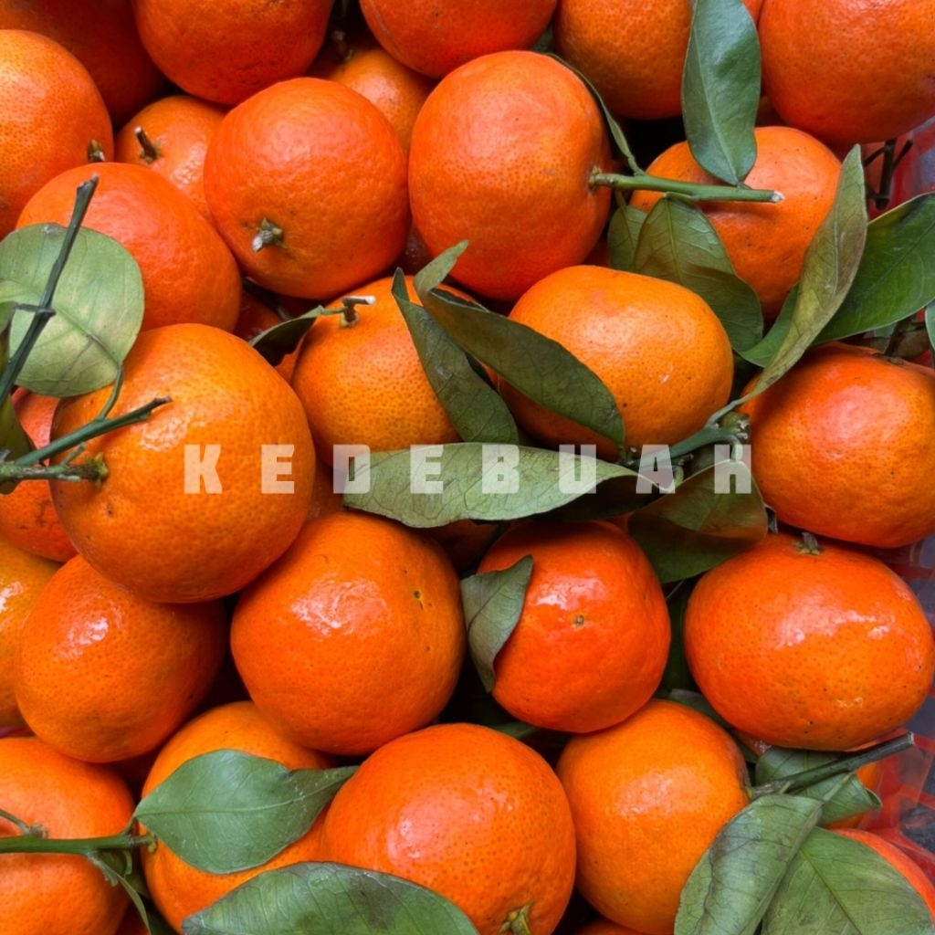 Jeruk Santang Daun Dongfang 1 Keranjang 6 Kg