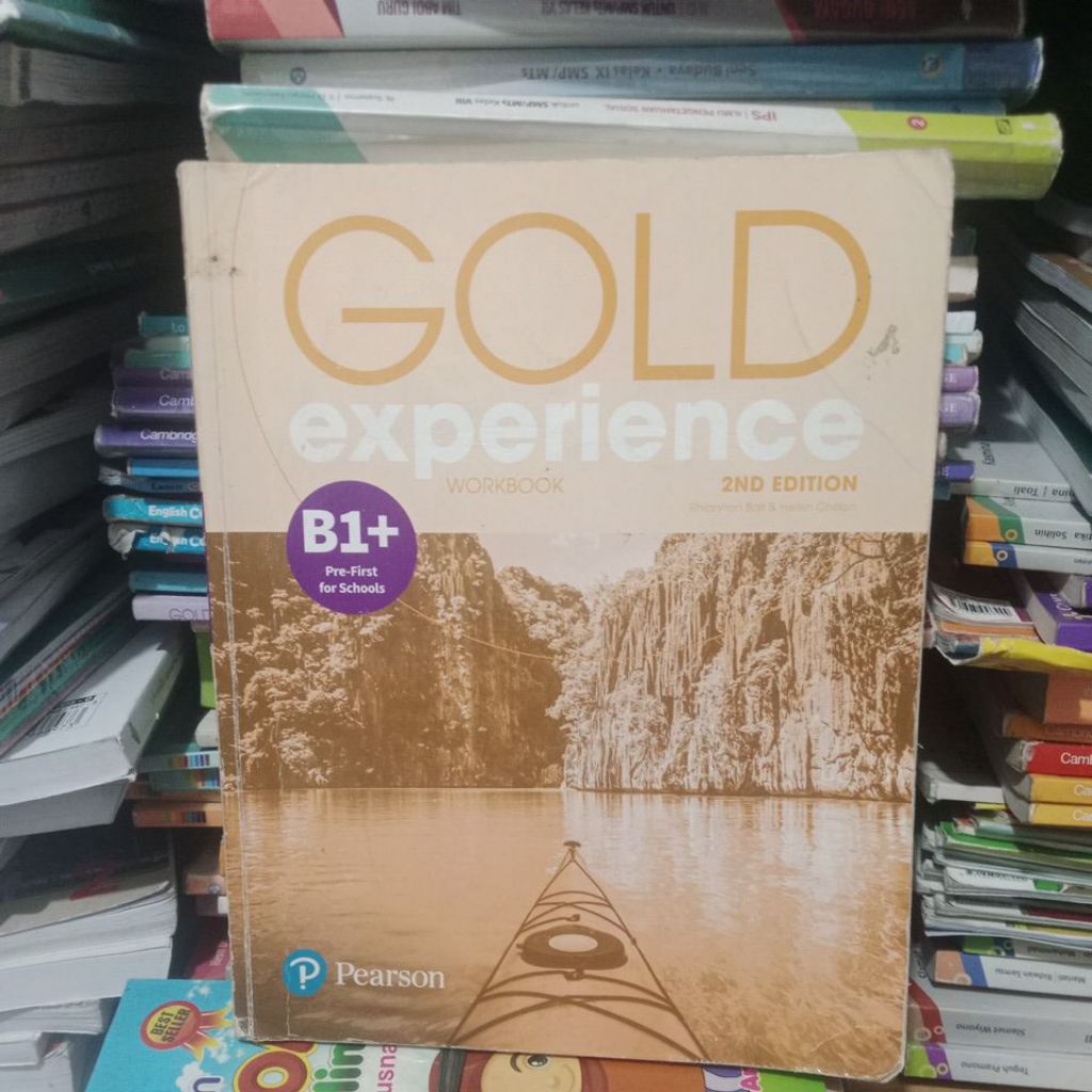 gold experience b1+ work book