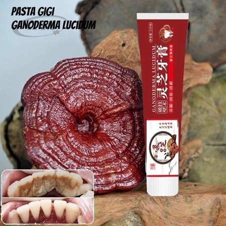 Promo Ganoderma Lucidum Penumbuh Gigi Perbaikan gigi Berlubang GANODERMA LUCIDUM Pasta Gigi