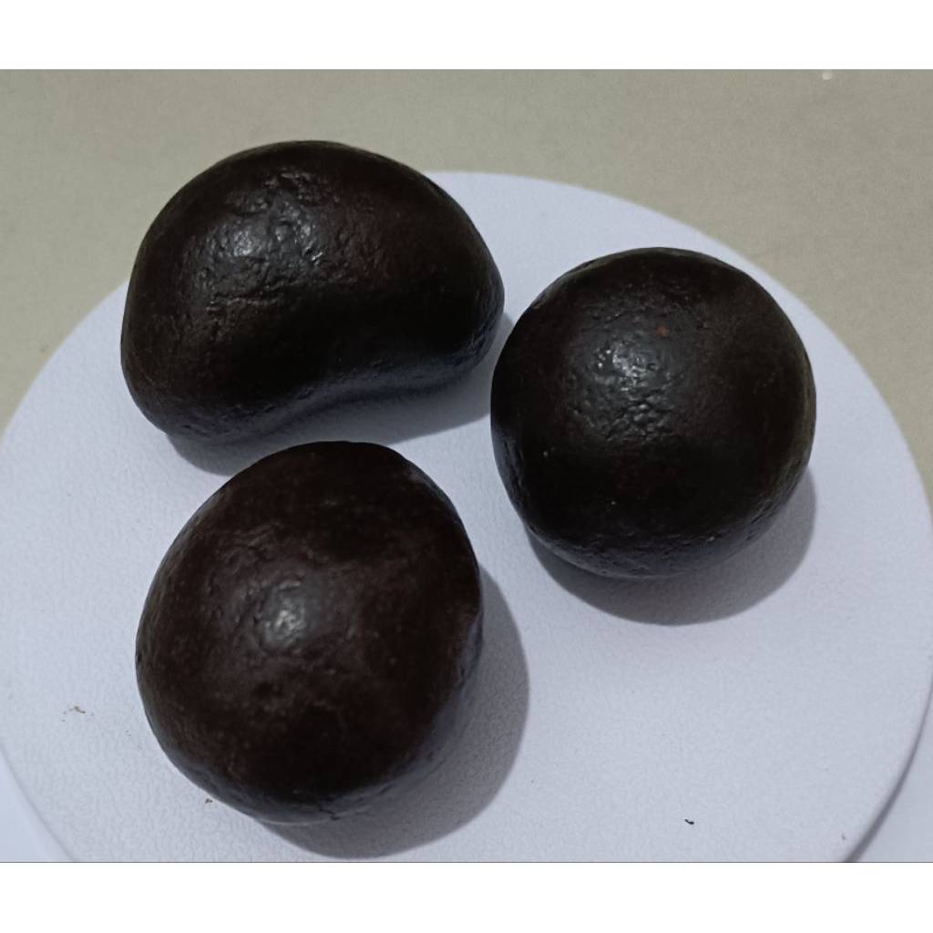 Geliga batu landak hitam alami