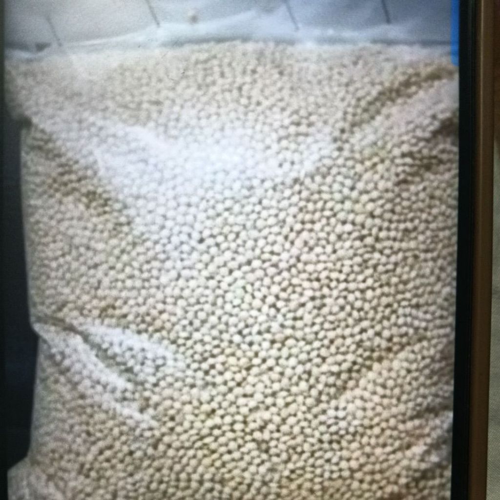 PAKAN BURUNG LOVEBIRD MILET PUTIH