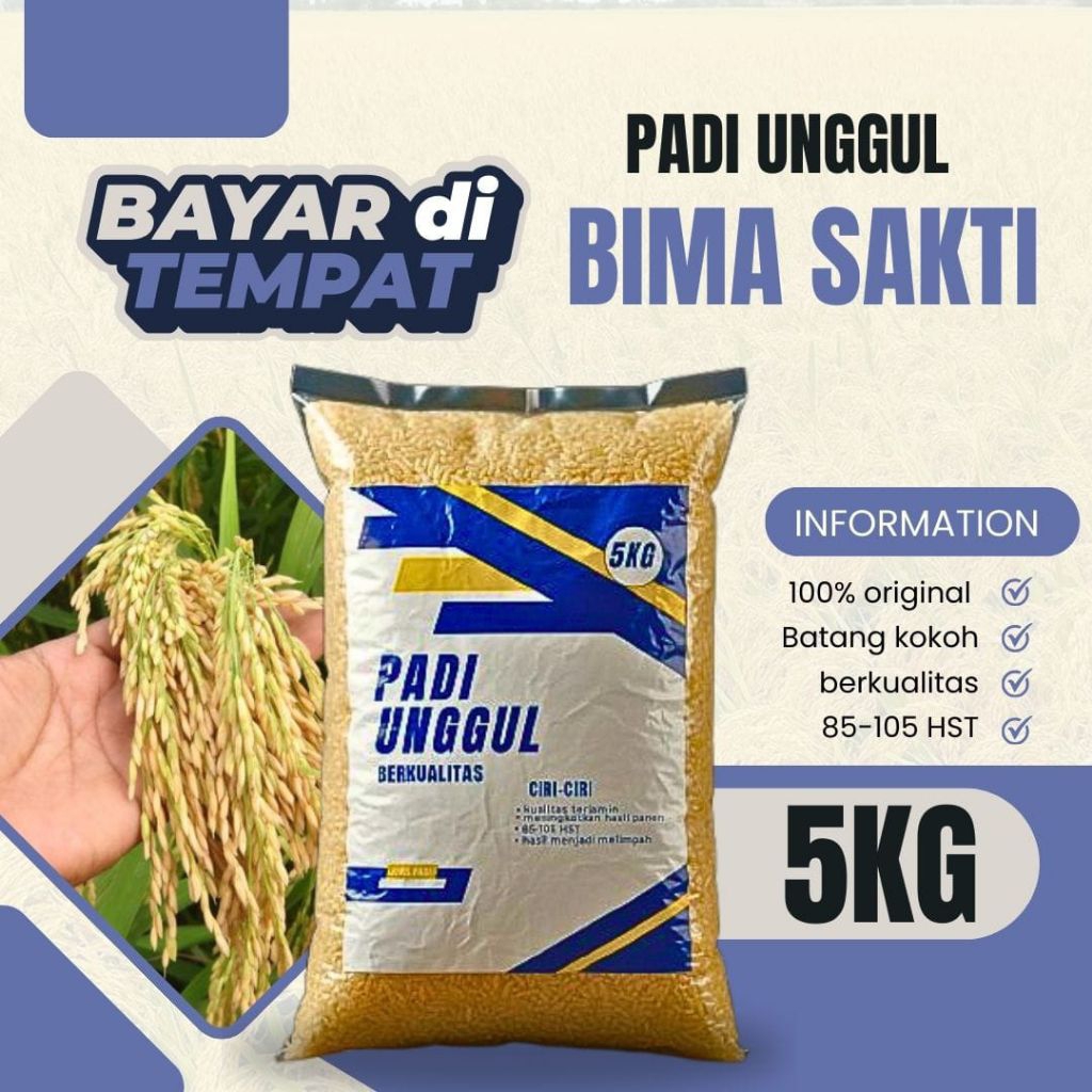 BENIH PADI BIMA SAKTI 5KG