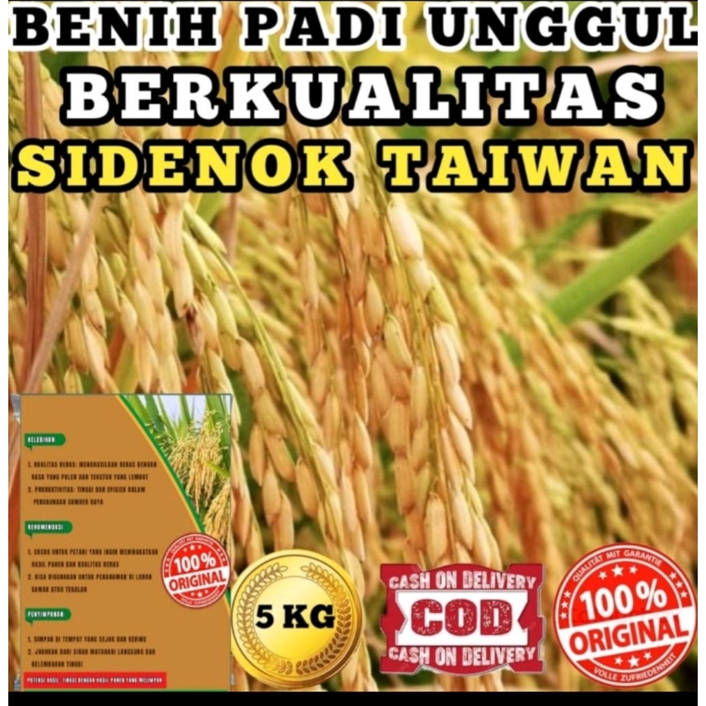 benih padi Denok Taiwan kemasan 5kg