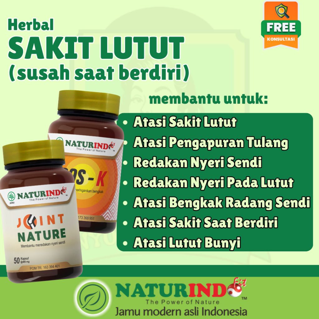 Herbal Sakit Lutut Pengapuran Tulang Sendi Bengkak Nyeri Peradangan Sendi Lutut Bengkak