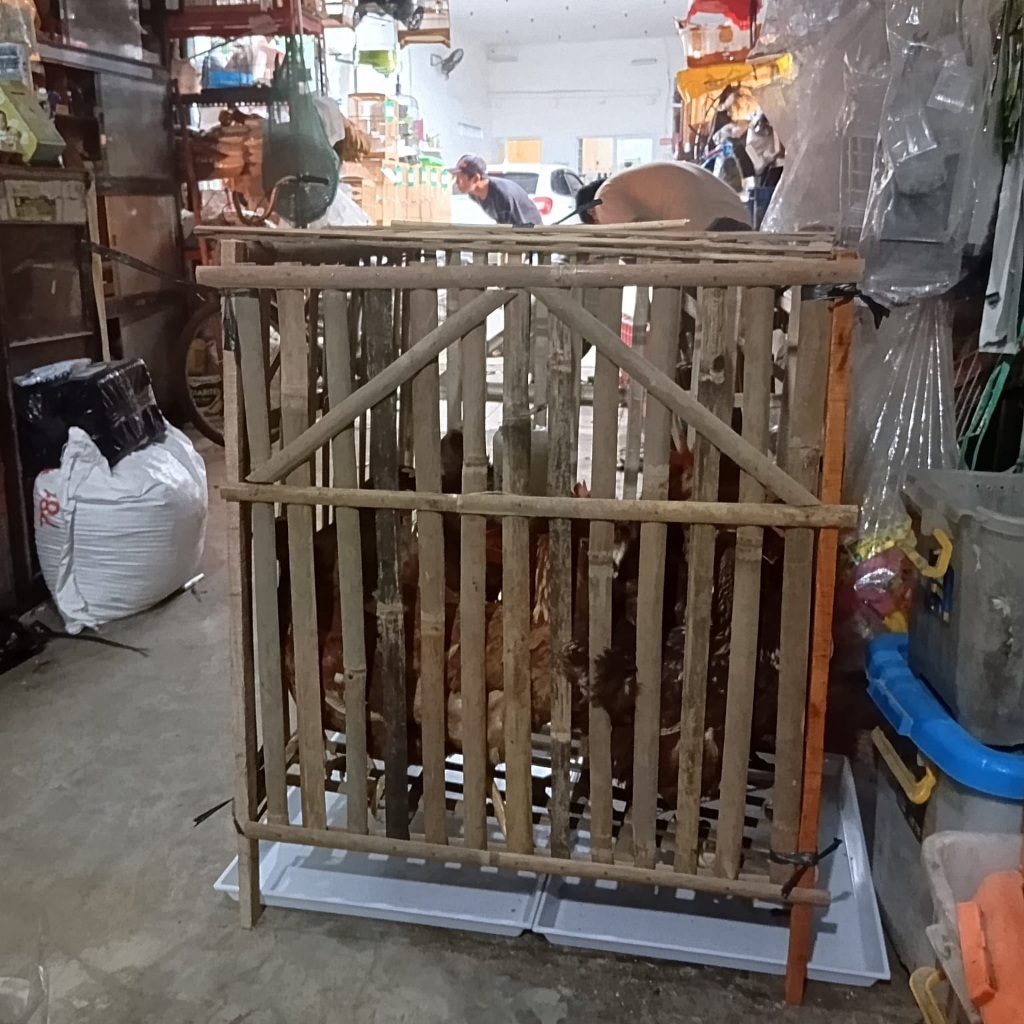 Kandang Rakit Kotak Ayam Jago Bambu Kokoh Murah