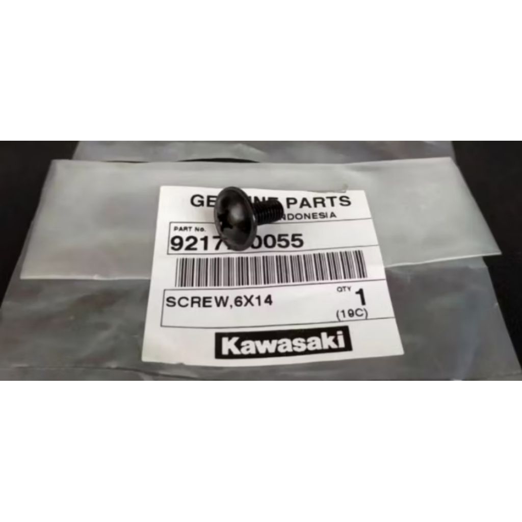 BAUT FAIRING BESAR NINJA 150RR SKRUP FAIRING ATHELETE BLITZ SCREW 6X14 FAIRING BELAKANG NINJA 150RR 