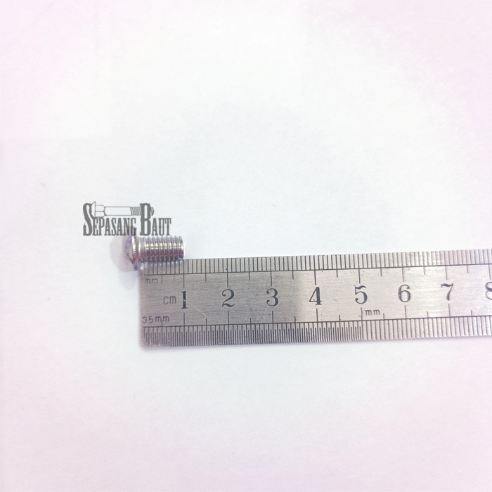 M6 x 10 Baut Button L Stainless 304 M6x10