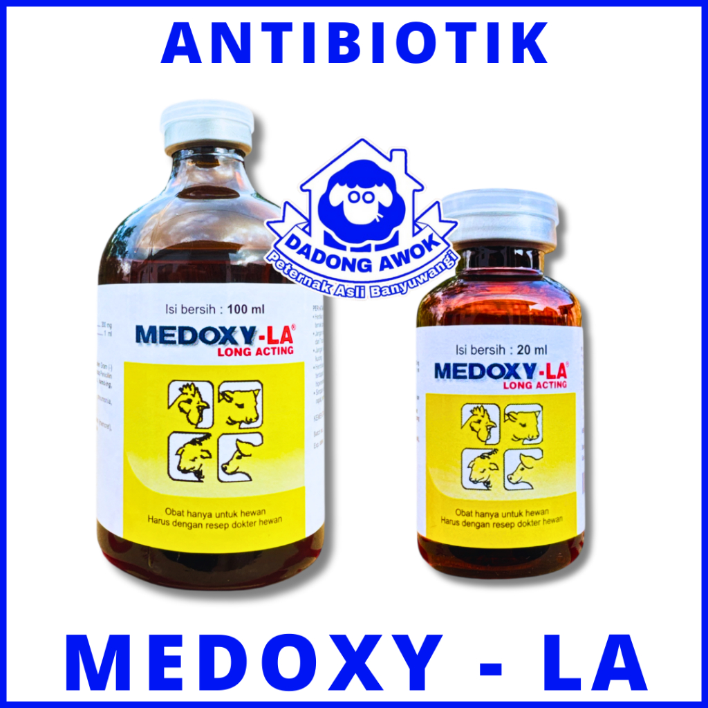 MEDOXY LA 20ml & MEDOXY LA 100ml - Obat antibiotik kambing, sapi, kerbau, Domba, medoxsy la medoksi
