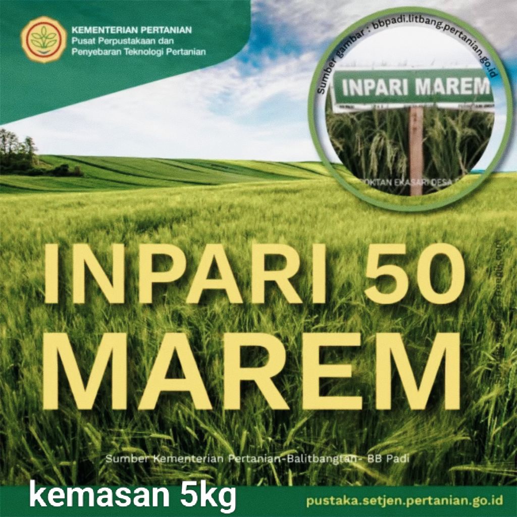 Benih padi inpari 50 marem kualitas premium kemasan 5kg