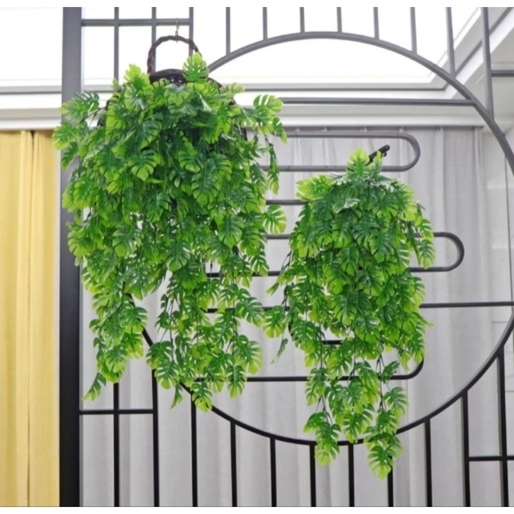 daun monstera gantung dan pot dinding artificial