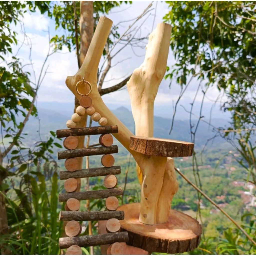 Tangkringan kayu kopi