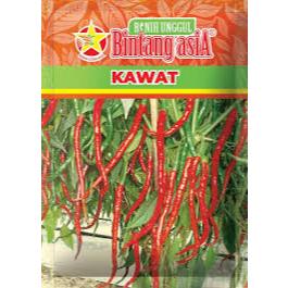 Benih Cabai Keriting 10gr Kawat Bintang Asia Red kriss TM 999 Ferosa