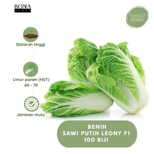 100 BIJI BENIH SAWI PUTIH LEONY F1 SIAP TANAM / BIBIT SAYURAN