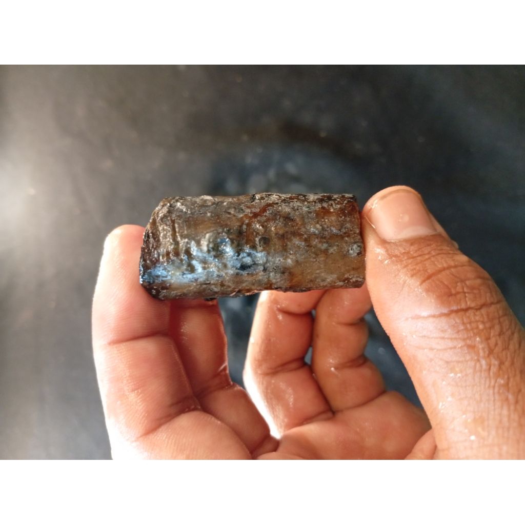 temuan alam batu unik/bagian dari artefak kuno dan tulang hewan purba 21