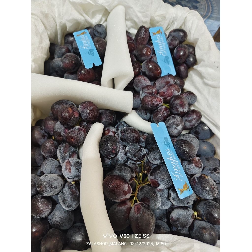 1 KG ANGGUR AUTUMN MANIS JUAL ANGGUR AUTUMN MALANG MURAH