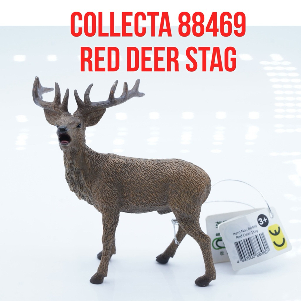 Collecta 88469 | Red Deer Stag Rusa Merah Jantan  Cervus Elaphus | Mainan Figure Binatang Miniature 
