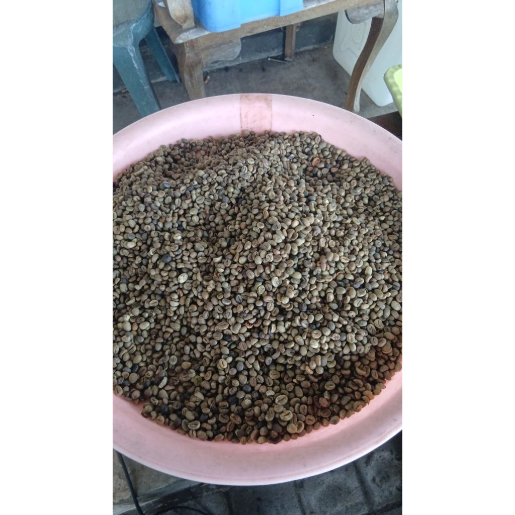 biji kopi mentah jenis robusta