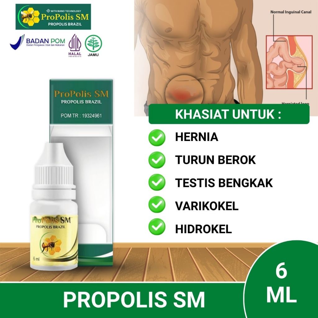 Obat Hernia Pria Dewasa Herbal Turun Berok Bero Usus Varikokel Testis Bengkak Buah Zakar Besar Sebel