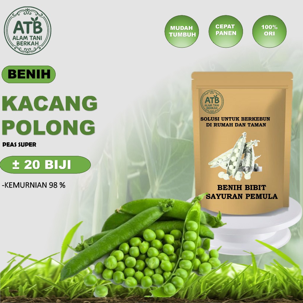 Benih Tanaman Sayuran Kacang Polong Berkualitas Isi 20 Benih